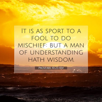 Picture 07 - Proverbs 10:23 KJV - It is as sport to a fool to do mischief: but a - Bible Verse Picture