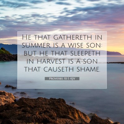 Picture 07 - Proverbs 10:5 KJV - He that gathereth in summer is a wise son: but he - Bible Verse Picture