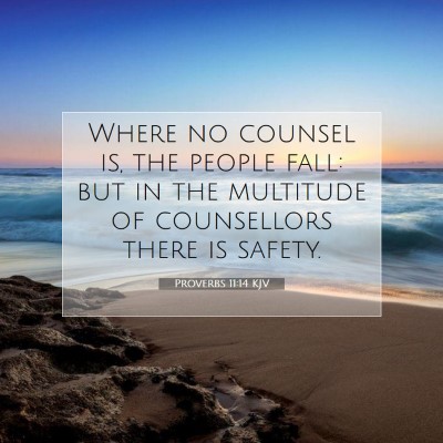 Picture 07 - Proverbs 11:14 KJV - Where no counsel is, the people fall: but in the - Bible Verse Picture
