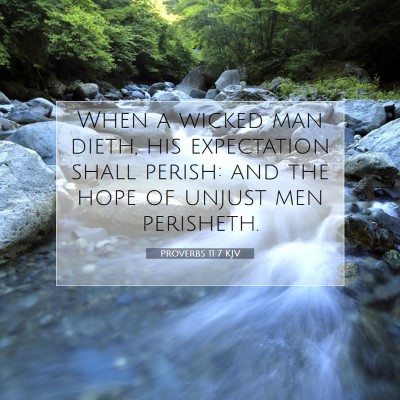 Picture 07 - Proverbs 11:7 KJV - When a wicked man dieth, his expectation shall - Bible Verse Picture