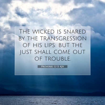 Picture 07 - Proverbs 12:13 KJV - The wicked is snared by the transgression of his - Bible Verse Picture