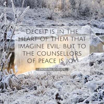 Picture 07 - Proverbs 12:20 KJV - Deceit is in the heart of them that imagine evil: - Bible Verse Picture