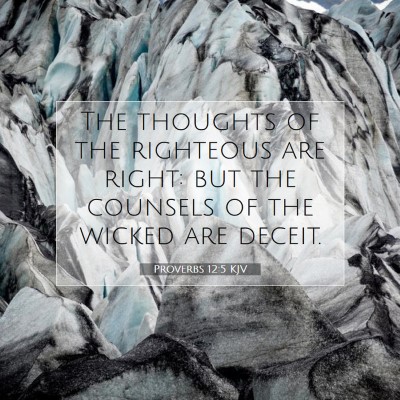 Picture 07 - Proverbs 12:5 KJV - The thoughts of the righteous are right: but the - Bible Verse Picture
