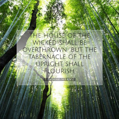 Picture 07 - Proverbs 14:11 KJV - The house of the wicked shall be overthrown: but - Bible Verse Picture