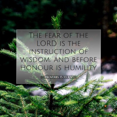 Picture 07 - Proverbs 15:33 KJV - The fear of the LORD is the instruction of - Bible Verse Picture