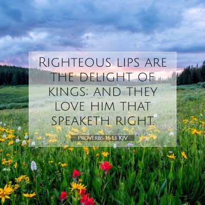Picture 07 - Proverbs 16:13 KJV - Righteous lips are the delight of kings; and they - Bible Verse Picture