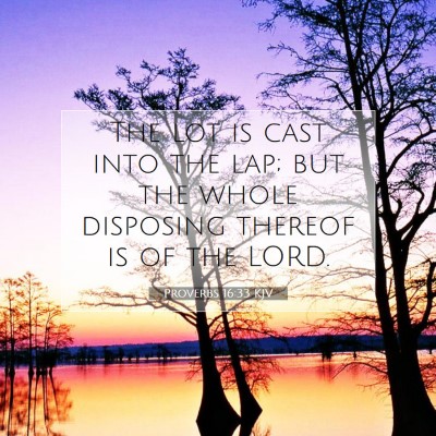 Picture 07 - Proverbs 16:33 KJV - The lot is cast into the lap; but the whole - Bible Verse Picture