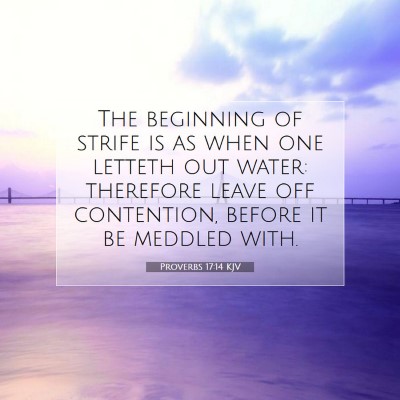 Picture 07 - Proverbs 17:14 KJV - The beginning of strife is as when one letteth - Bible Verse Picture