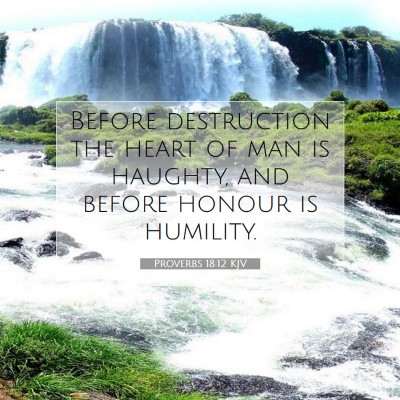 Picture 07 - Proverbs 18:12 KJV - Before destruction the heart of man is haughty, - Bible Verse Picture