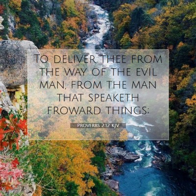 Picture 07 - Proverbs 2:12 KJV - To deliver thee from the way of the evil man, - Bible Verse Picture
