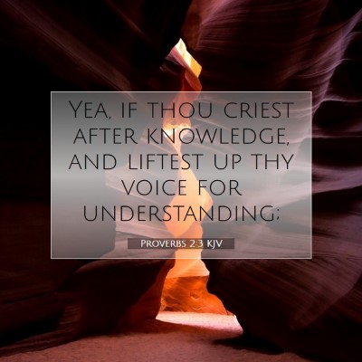 Picture 07 - Proverbs 2:3 KJV - Yea, if thou criest after knowledge, and liftest - Bible Verse Picture