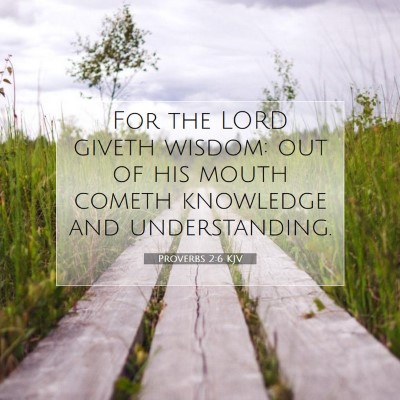 Picture 07 - Proverbs 2:6 KJV - For the LORD giveth wisdom: out of his mouth - Bible Verse Picture
