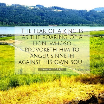 Picture 07 - Proverbs 20:2 KJV - The fear of a king is as the roaring of a lion: - Bible Verse Picture
