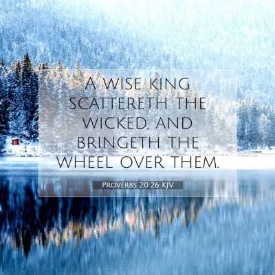 Picture 07 - Proverbs 20:26 KJV - A wise king scattereth the wicked, and bringeth - Bible Verse Picture
