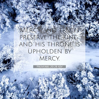 Picture 07 - Proverbs 20:28 KJV - Mercy and truth preserve the king: and his throne - Bible Verse Picture