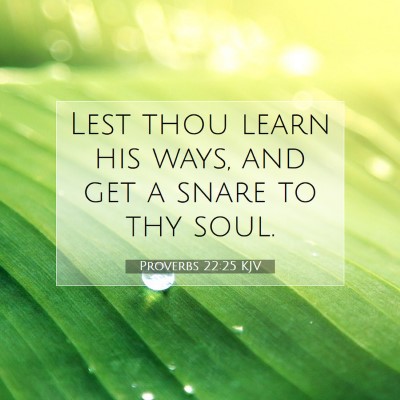Picture 07 - Proverbs 22:25 KJV - Lest thou learn his ways, and get a snare to thy - Bible Verse Picture