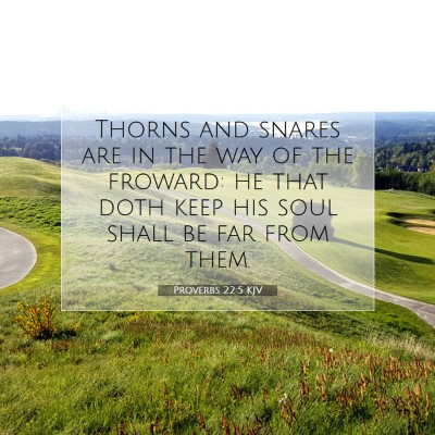 Picture 07 - Proverbs 22:5 KJV - Thorns and snares are in the way of the froward: - Bible Verse Picture