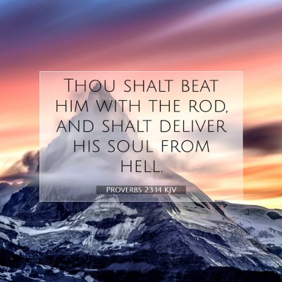 Picture 07 - Proverbs 23:14 KJV - Thou shalt beat him with the rod, and shalt - Bible Verse Picture