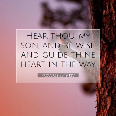 Picture 07 - Proverbs 23:19 KJV - Hear thou, my son, and be wise, and guide thine - Bible Verse Picture