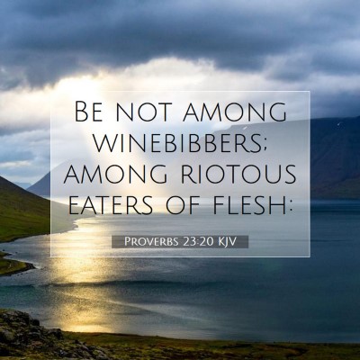 Picture 07 - Proverbs 23:20 KJV - Be not among winebibbers; among riotous eaters of - Bible Verse Picture