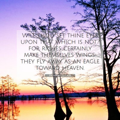Picture 07 - Proverbs 23:5 KJV - Wilt thou set thine eyes upon that which is not? - Bible Verse Picture