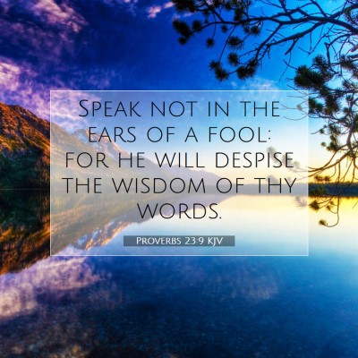 Picture 07 - Proverbs 23:9 KJV - Speak not in the ears of a fool: for he will - Bible Verse Picture