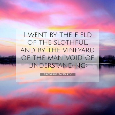 Picture 07 - Proverbs 24:30 KJV - I went by the field of the slothful, and by the - Bible Verse Picture