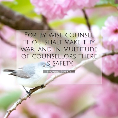 Picture 07 - Proverbs 24:6 KJV - For by wise counsel thou shalt make thy war: and - Bible Verse Picture