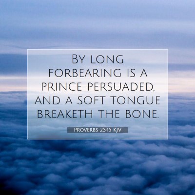 Picture 07 - Proverbs 25:15 KJV - By long forbearing is a prince persuaded, and a - Bible Verse Picture
