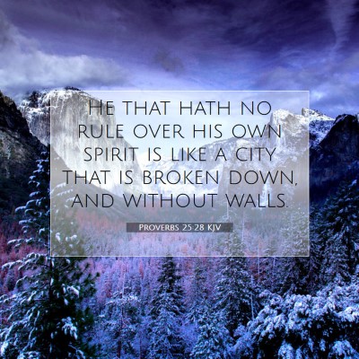 Picture 07 - Proverbs 25:28 KJV - He that hath no rule over his own spirit is like - Bible Verse Picture