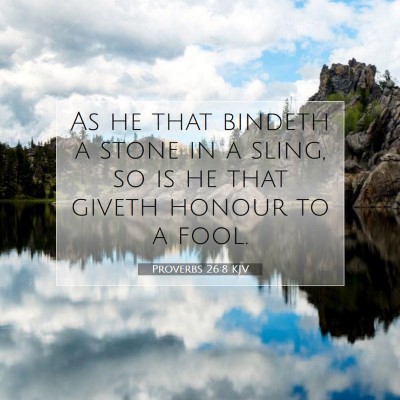 Picture 07 - Proverbs 26:8 KJV - As he that bindeth a stone in a sling, so is he - Bible Verse Picture