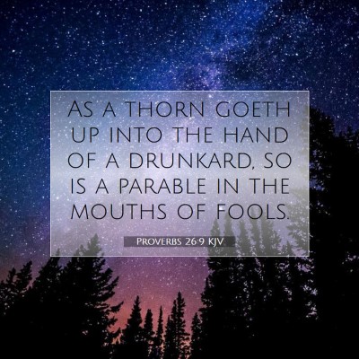 Picture 07 - Proverbs 26:9 KJV - As a thorn goeth up into the hand of a drunkard, - Bible Verse Picture