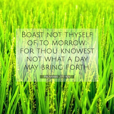 Picture 07 - Proverbs 27:1 KJV - Boast not thyself of to morrow; for thou knowest - Bible Verse Picture