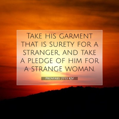 Picture 07 - Proverbs 27:13 KJV - Take his garment that is surety for a stranger, - Bible Verse Picture