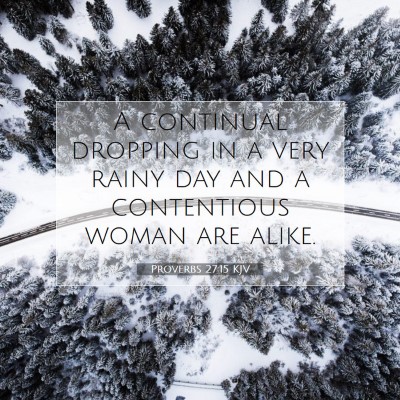 Picture 07 - Proverbs 27:15 KJV - A continual dropping in a very rainy day and a - Bible Verse Picture