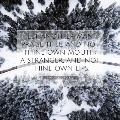 Picture 07 - Proverbs 27:2 KJV - Let another man praise thee, and not thine own - Bible Verse Picture