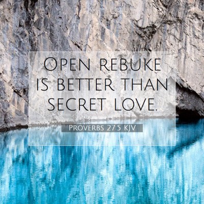 Picture 07 - Proverbs 27:5 KJV - Open rebuke is better than secret - Bible Verse Picture