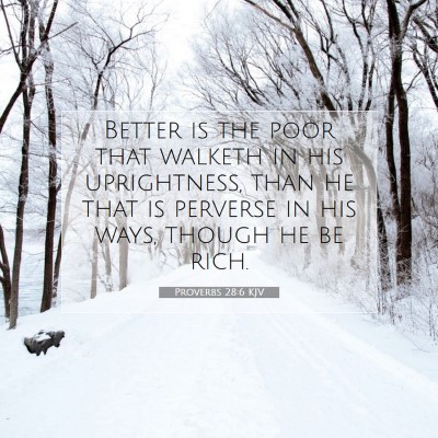 Picture 07 - Proverbs 28:6 KJV - Better is the poor that walketh in his - Bible Verse Picture