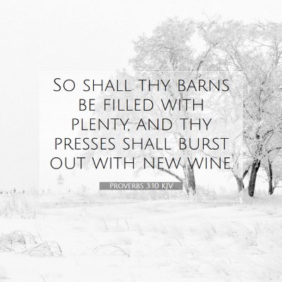 Picture 07 - Proverbs 3:10 KJV - So shall thy barns be filled with plenty, and thy - Bible Verse Picture