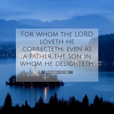 Picture 07 - Proverbs 3:12 KJV - For whom the LORD loveth he correcteth; even as a - Bible Verse Picture