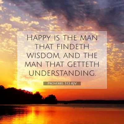 Picture 07 - Proverbs 3:13 KJV - Happy is the man that findeth wisdom, and the man - Bible Verse Picture