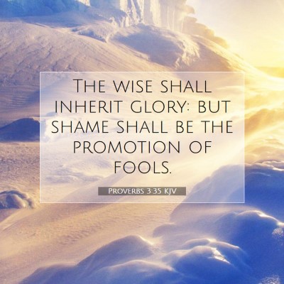 Picture 07 - Proverbs 3:35 KJV - The wise shall inherit glory: but shame shall be - Bible Verse Picture