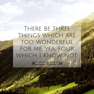 Picture 07 - Proverbs 30:18 KJV - There be three things which are too wonderful for - Bible Verse Picture