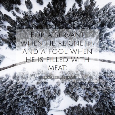 Picture 07 - Proverbs 30:22 KJV - For a servant when he reigneth; and a fool when - Bible Verse Picture