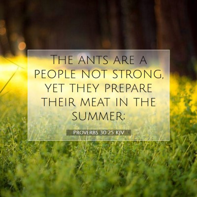 Picture 07 - Proverbs 30:25 KJV - The ants are a people not strong, yet they - Bible Verse Picture