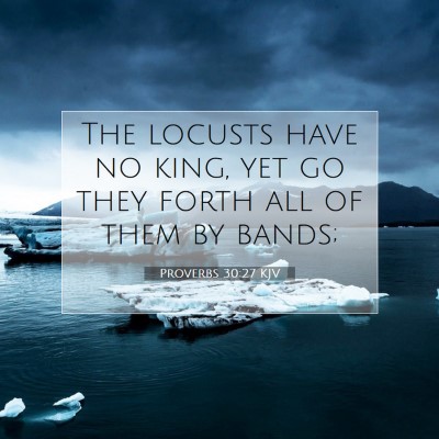 Picture 07 - Proverbs 30:27 KJV - The locusts have no king, yet go they forth all - Bible Verse Picture