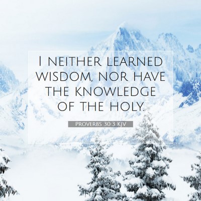 Picture 07 - Proverbs 30:3 KJV - I neither learned wisdom, nor have the knowledge - Bible Verse Picture