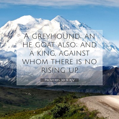 Picture 07 - Proverbs 30:31 KJV - A greyhound; an he goat also; and a king, against - Bible Verse Picture