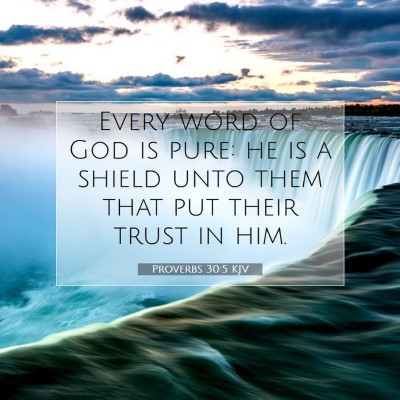 Picture 07 - Proverbs 30:5 KJV - Every word of God is pure: he is a shield unto - Bible Verse Picture