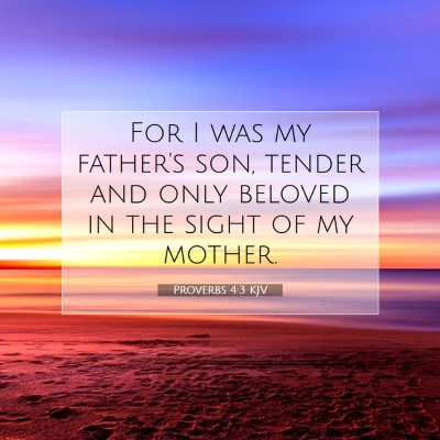 Picture 07 - Proverbs 4:3 KJV - For I was my father's son, tender and only - Bible Verse Picture